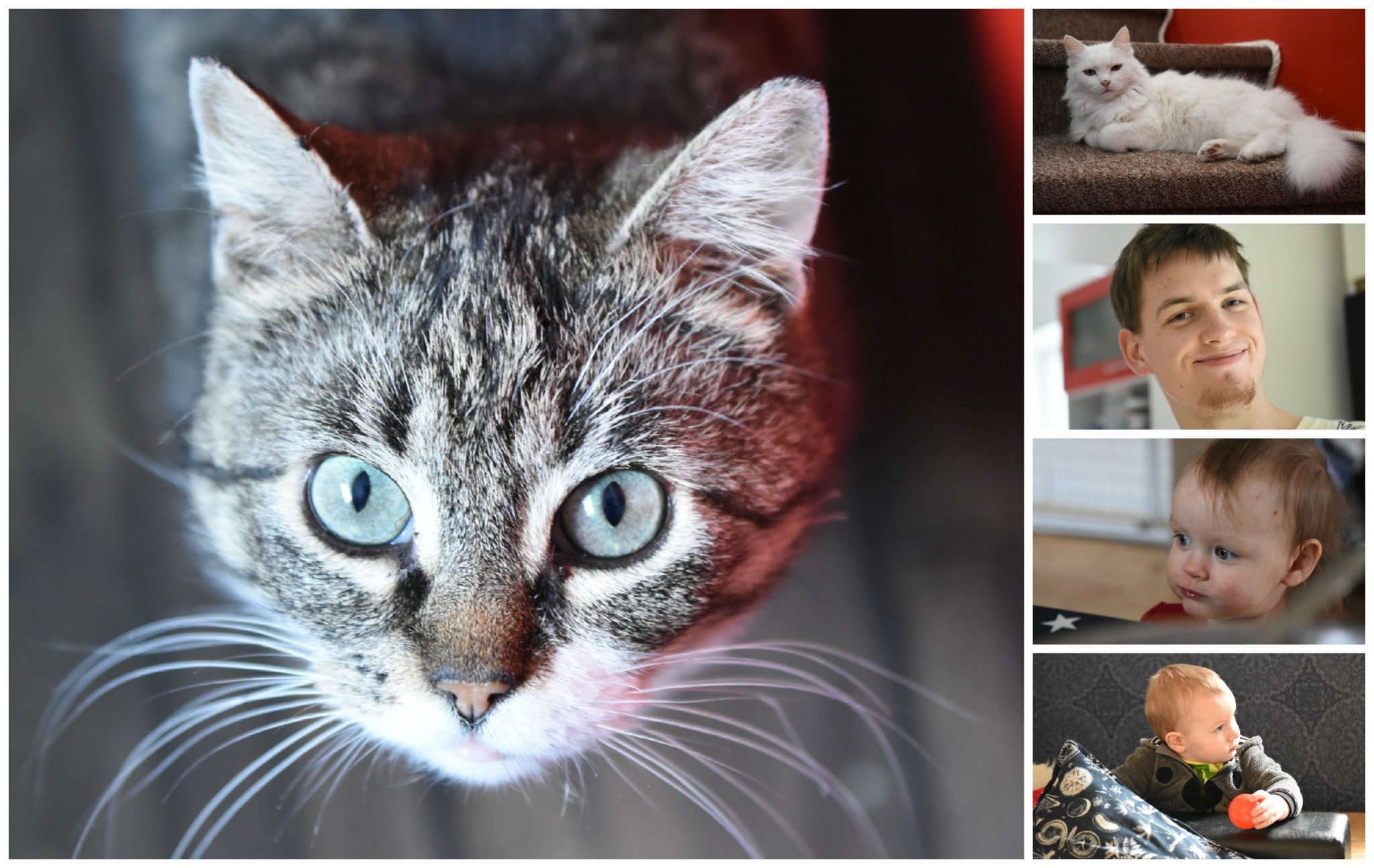 kui sõbrad käivad külas…