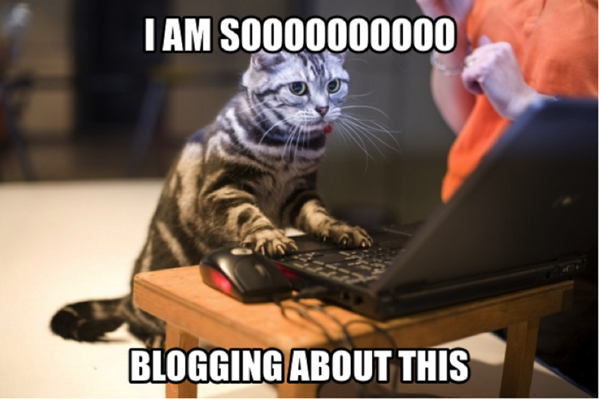 ideaalne blogija