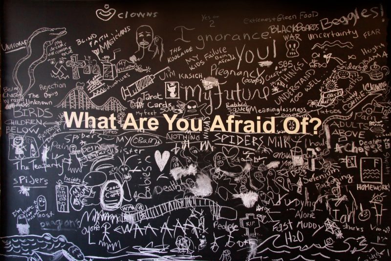 no fear
