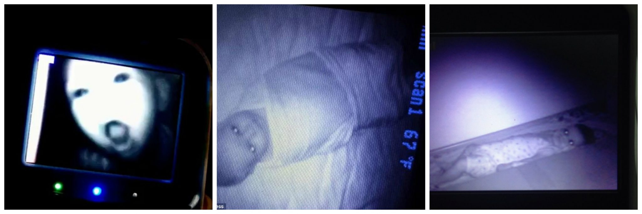 have kids they say…