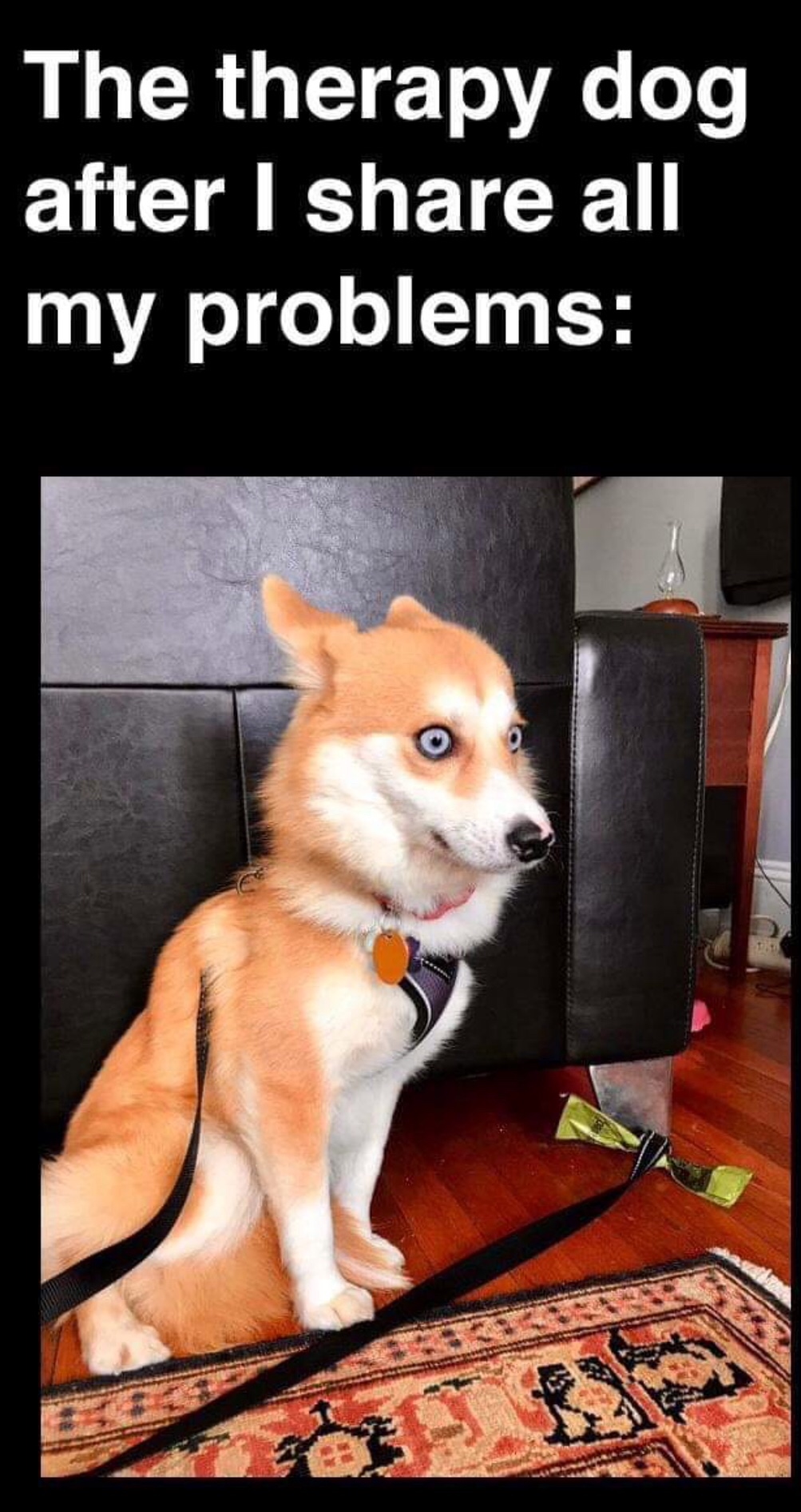 avita, jumal, ainult avita!