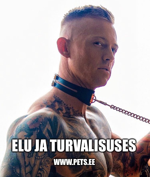 kassisaaga ei lõppe iial, okse!