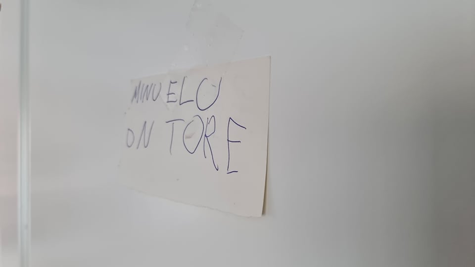 minu elu on tore!