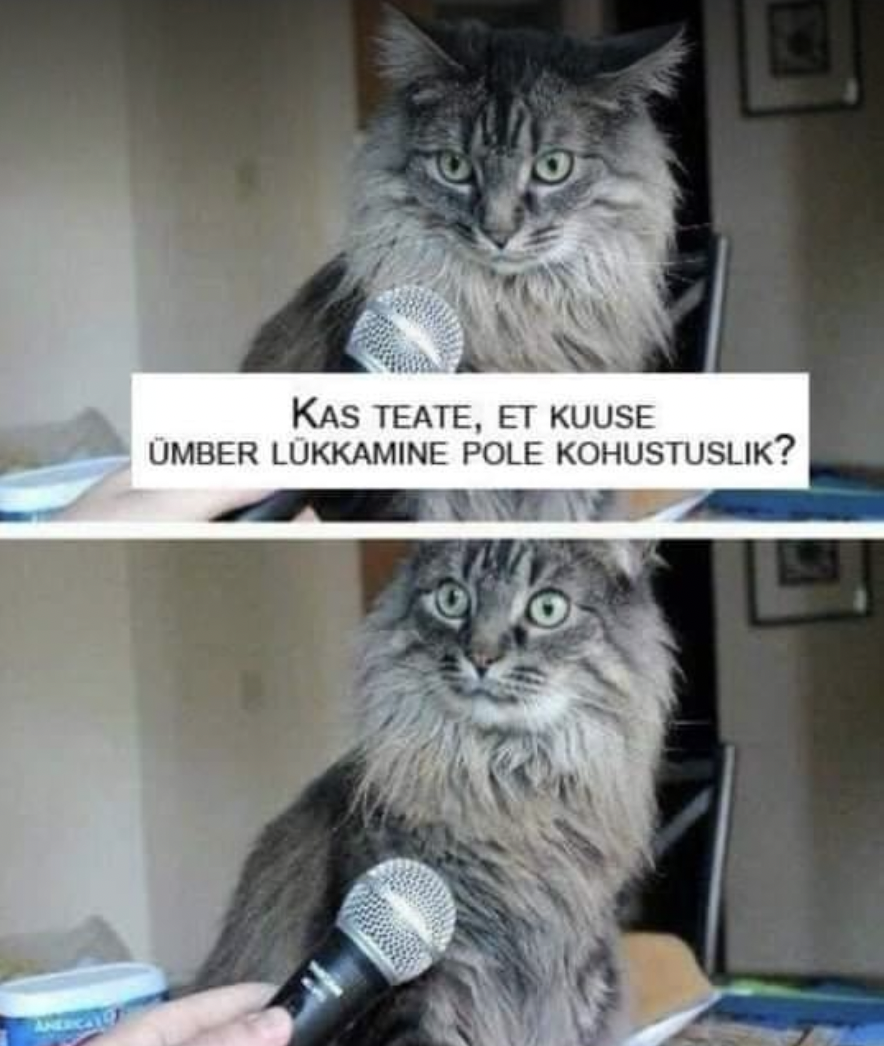 vihainsultide öö