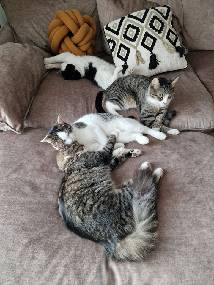 oli tore, a nüüd on vist minek ka