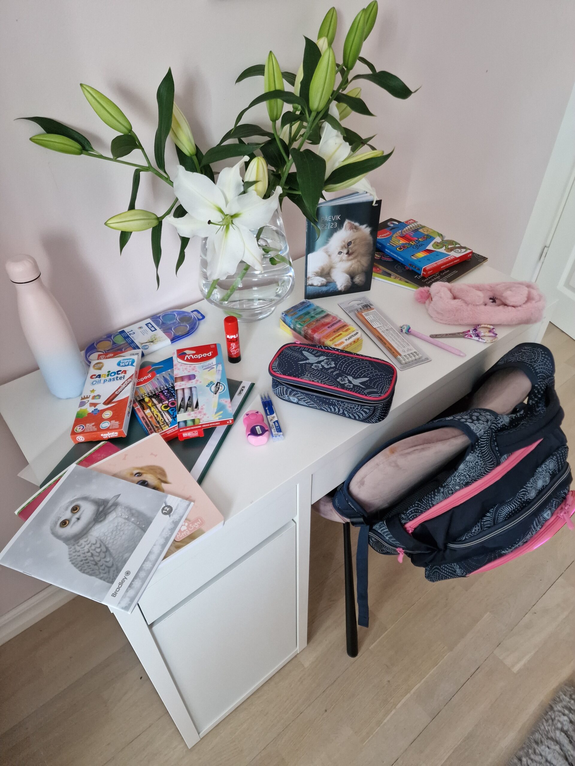 Mari on igatahes kooliks valmis*