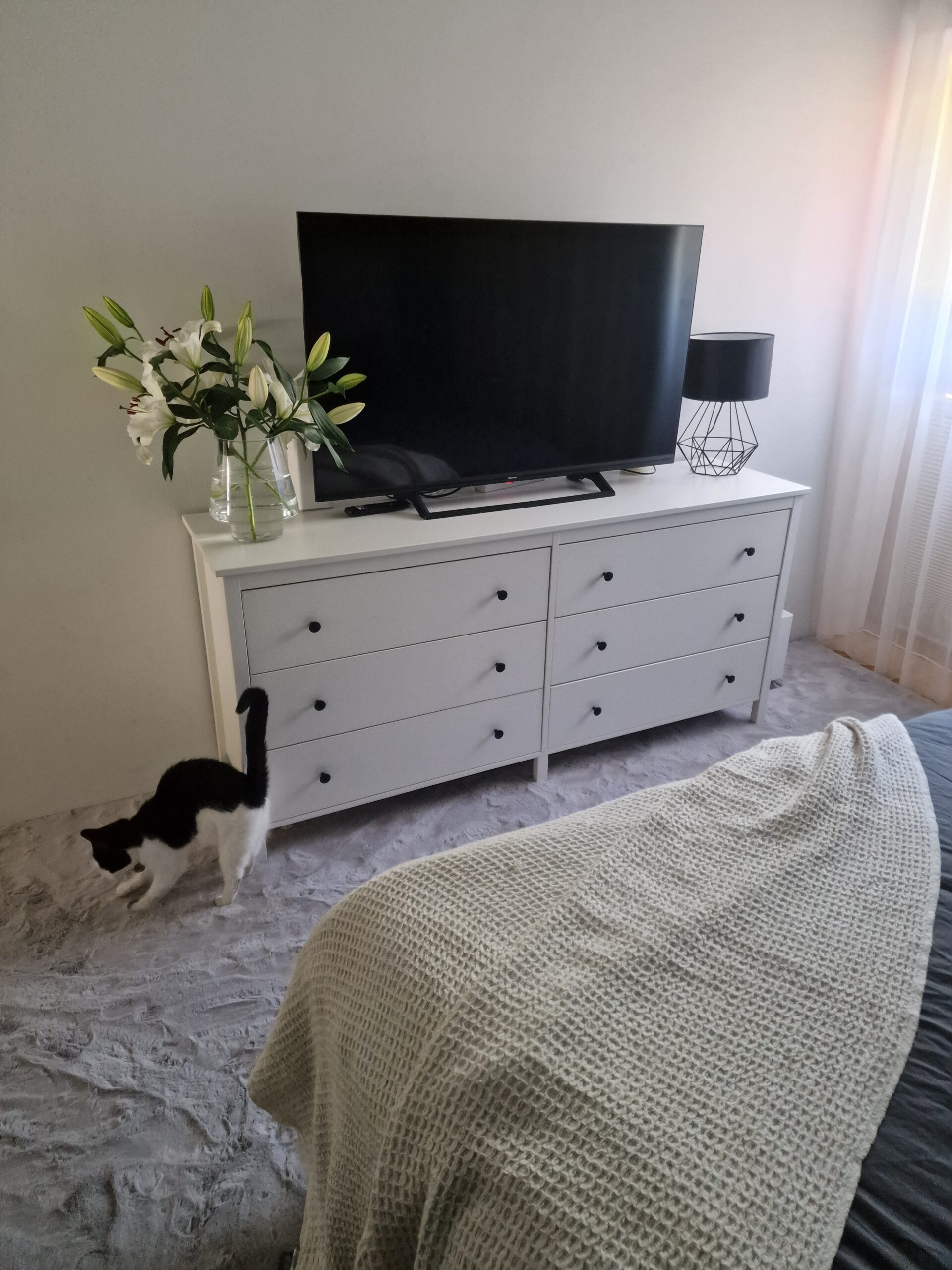 kas ma pean ühe korra veel ütlema, et rug.ee?*