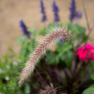 Marii Karell ja Piret tali on rekkalesbarid???