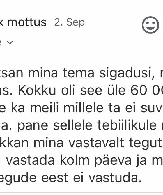 aastalõpu “draama” ja maffiosnikunaiseks olemisest