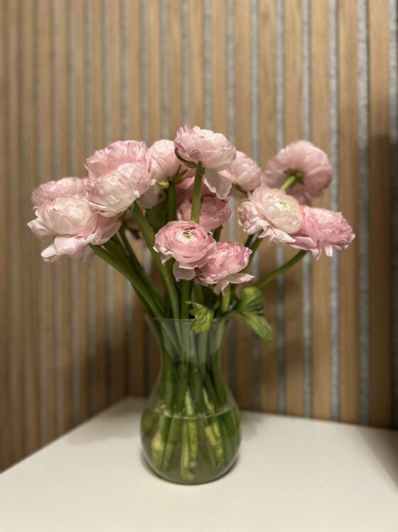 Barbie dreamhouse ja kodudest üldse