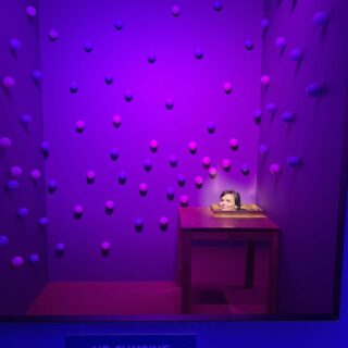 faceapi pimedus pole naljaasi