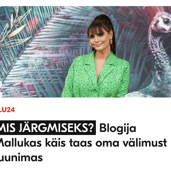 välimust tuuninud plastnukk ja maksmüür