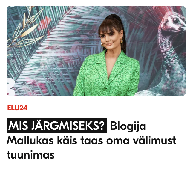 välimust tuuninud plastnukk ja maksmüür